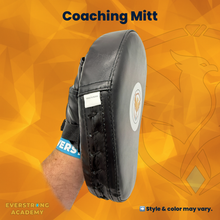 Load image into Gallery viewer, Target - Coaching Mitt (Standard)
